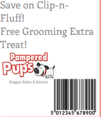 coupon